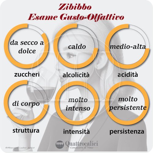 L'esame gusto-olfattivo dei vini Zibibbo