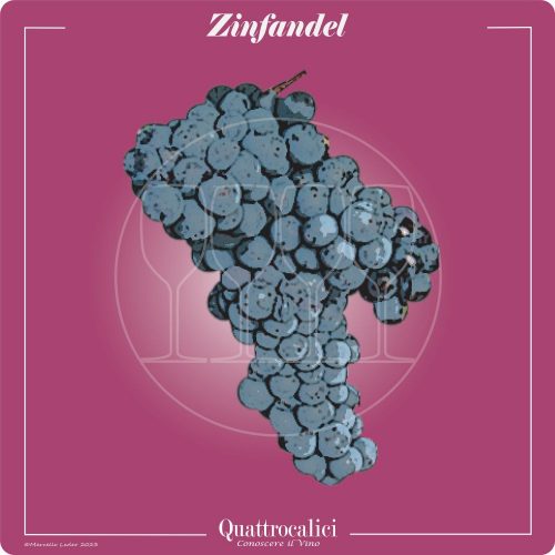 Vitigno  Zinfandel